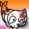 shrimpy_shrimpo