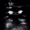 blackssrtv_mustang