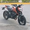 aguila3178