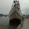 imrann778