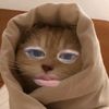 yana01ppp