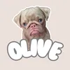 olivethepug_85