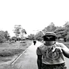 dex_waffen88