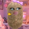 zaidaaddhyajwhir_