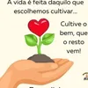 aliceoliveira7163