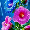 zara_hakim0va