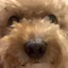 jjqjyjsn_