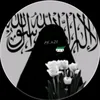 arar4783