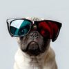 roxy76329