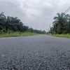 insan53.75