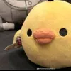 sao.cx.chu