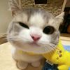 anna54193