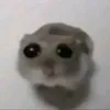 djmjsepika1