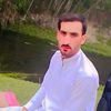 gul.man.7
