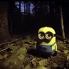 monsterwx1