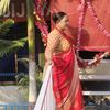 sarita.shrestha176