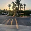 ellarobbo26