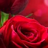 is.achmad