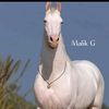 sami.khan.g74