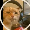 colakat88
