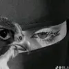 ashqamcbv0g