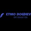 ethio_dogs_heaven