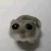 mario_gfx.super