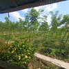 bp_ky_tranlongvinh