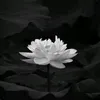 ng.anh.kiim
