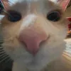 arianna_miu1122