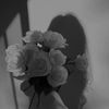 xnor_404