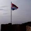 zecof79