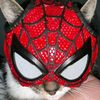 spidergirll_087