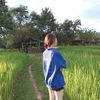 user8010271860305