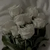 vany06092010