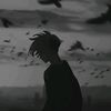 zaalvibes
