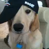 simaaasimo