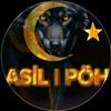 asilailesi2