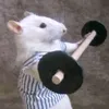 meninorato_