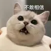 orangeesm