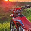 sufrido502