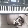 sofia_fortepiano