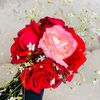 queen_ritu_7