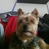 brbel.ntzel