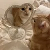 kitten99939