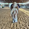 cropandspur.eq