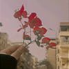 salmaahmed644