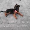 user4086035491317
