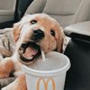 essa_pupz_jessica