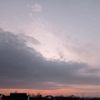 haidar_9472